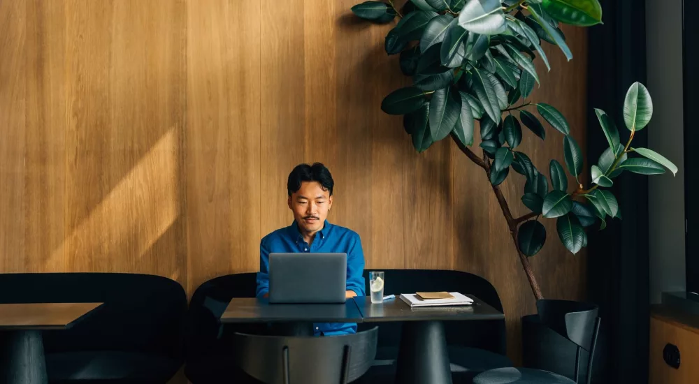Person sitzt in einem modernen Café oder Arbeitsbereich an einem Tisch mit einem Laptop. Auf dem Tisch stehen außerdem ein Glas mit Getränk, ein Notizbuch und Unterlagen. Der Raum hat eine warme Holzverkleidung, dunkle Sitzmöbel und eine große grüne Zimmerpflanze an der Wand.