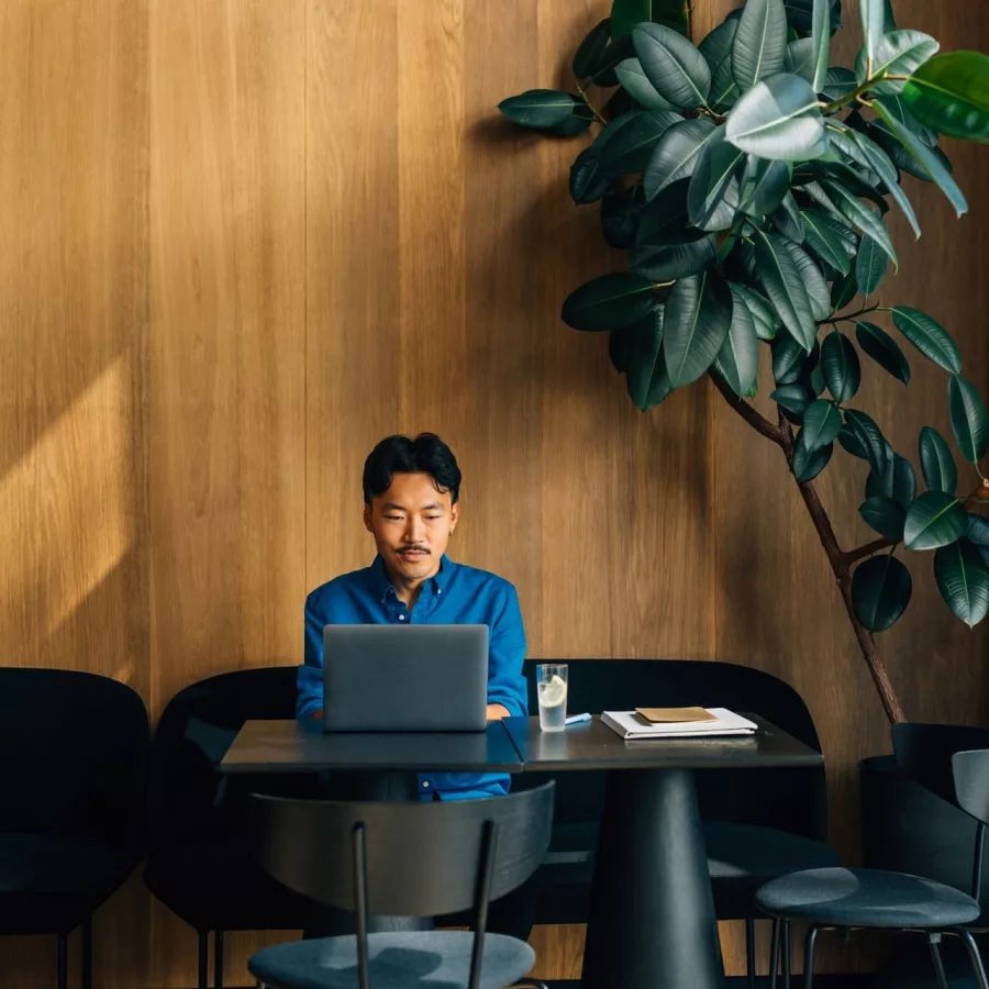 Person sitzt in einem modernen Café oder Arbeitsbereich an einem Tisch mit einem Laptop. Auf dem Tisch stehen außerdem ein Glas mit Getränk, ein Notizbuch und Unterlagen. Der Raum hat eine warme Holzverkleidung, dunkle Sitzmöbel und eine große grüne Zimmerpflanze an der Wand.