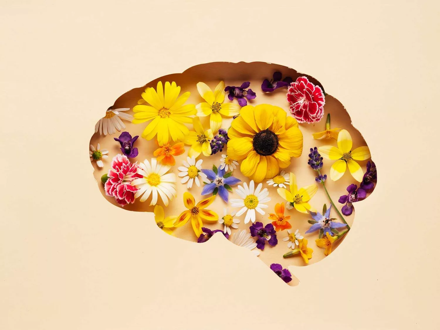 Das Bild zeigt eine künstlerische Darstellung eines menschlichen Gehirns, das aus verschiedenen bunten Blumen besteht. Die Blumen sind in leuchtenden Farben wie Gelb, Weiß, Lila und Rot gehalten und sind dicht angeordnet, um die Form des Gehirns zu bilden. Der Hintergrund ist einfarbig beige, was die Farben der Blumen hervorhebt und einen kontrastreichen Effekt erzeugt. Diese Darstellung kombiniert die Komplexität und Schönheit der Natur mit der Symbolik des menschlichen Geistes und der Kreativität.