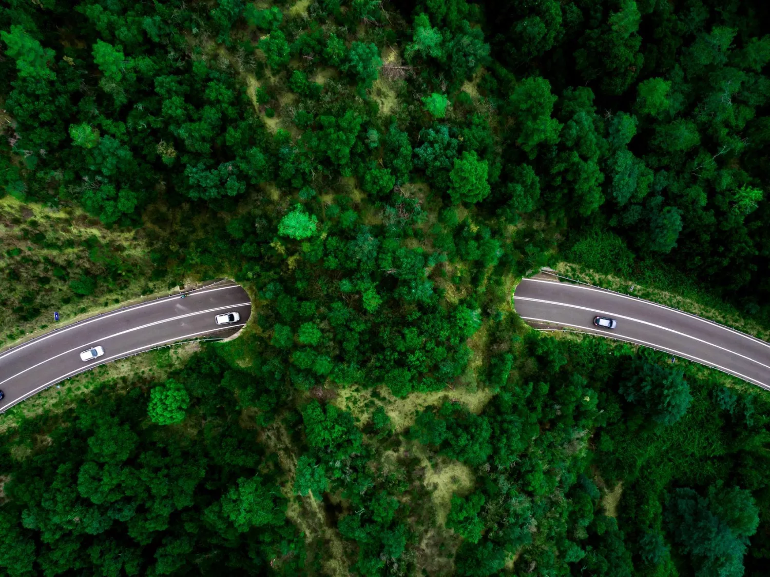 Das Bild zeigt eine Luftaufnahme einer kurvenreichen Straße, die sich durch einen dichten, grünen Wald schlängelt. Die Straße ist asphaltiert und hebt sich deutlich von den üppigen Baumkronen ab, die den Wald bedecken. Auf der Straße sind mehrere Autos zu sehen, die in beide Richtungen fahren. Die Bäume sind dicht gepackt und variieren in verschiedenen Grüntönen, was der Szene Tiefe und Textur verleiht. Die Aufnahme vermittelt ein Gefühl von Natur und Abenteuer und hebt die Schönheit und Komplexität der Landschaft hervor.