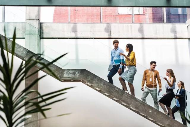 Auf dem Foto sind 3 Frauen und zwei Männer zu sehen, die gemeinsam eine Treppe hinauflaufen.