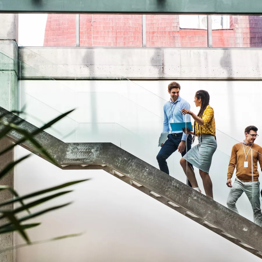 Auf dem Foto sind 3 Frauen und zwei Männer zu sehen, die gemeinsam eine Treppe hinauflaufen.