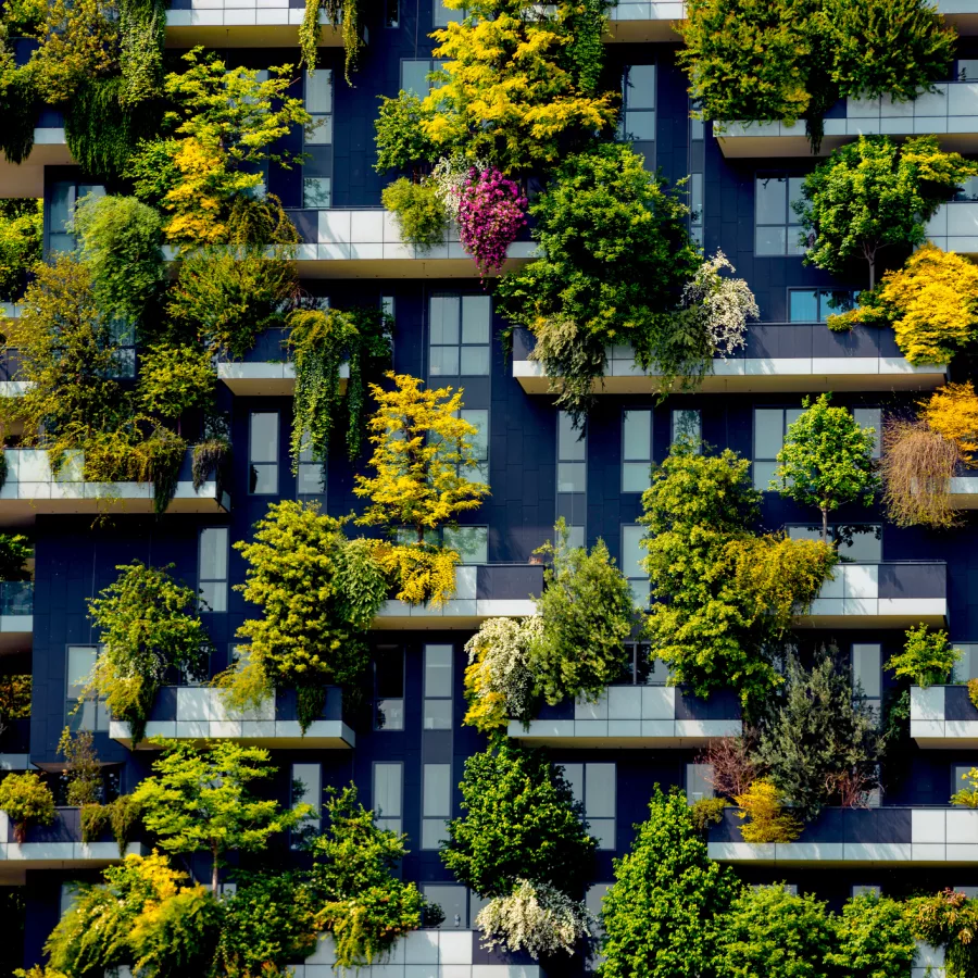 Auf dem Bild ist eine Hausfassade mit vielen Fenstern und Balkonen zu sehen, auf denen viele grüne Pflanzen und kleine Bäume stehen.