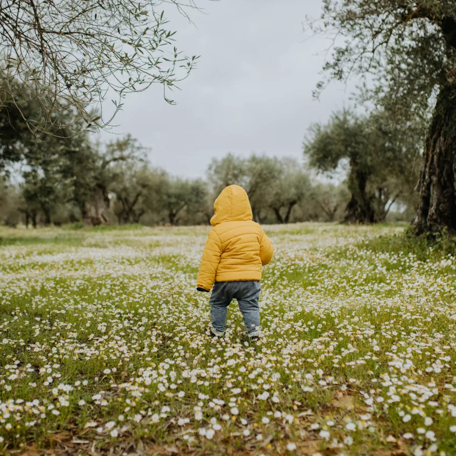 Ein kleines Kind, gekleidet in eine gelbe Jacke und graue Hosen, steht inmitten einer Wiese voller weißer Blumen. Das Kind ist von hinten zu sehen und blickt in die Ferne, umgeben von alten, knorrigen Olivenbäumen. Der Himmel ist bewölkt, was der Szene eine ruhige und friedliche Atmosphäre verleiht. Die Wiese erstreckt sich weit und die Bäume sind in einem natürlichen, ungeordneten Muster verteilt, was die Schönheit der Natur unterstreicht.